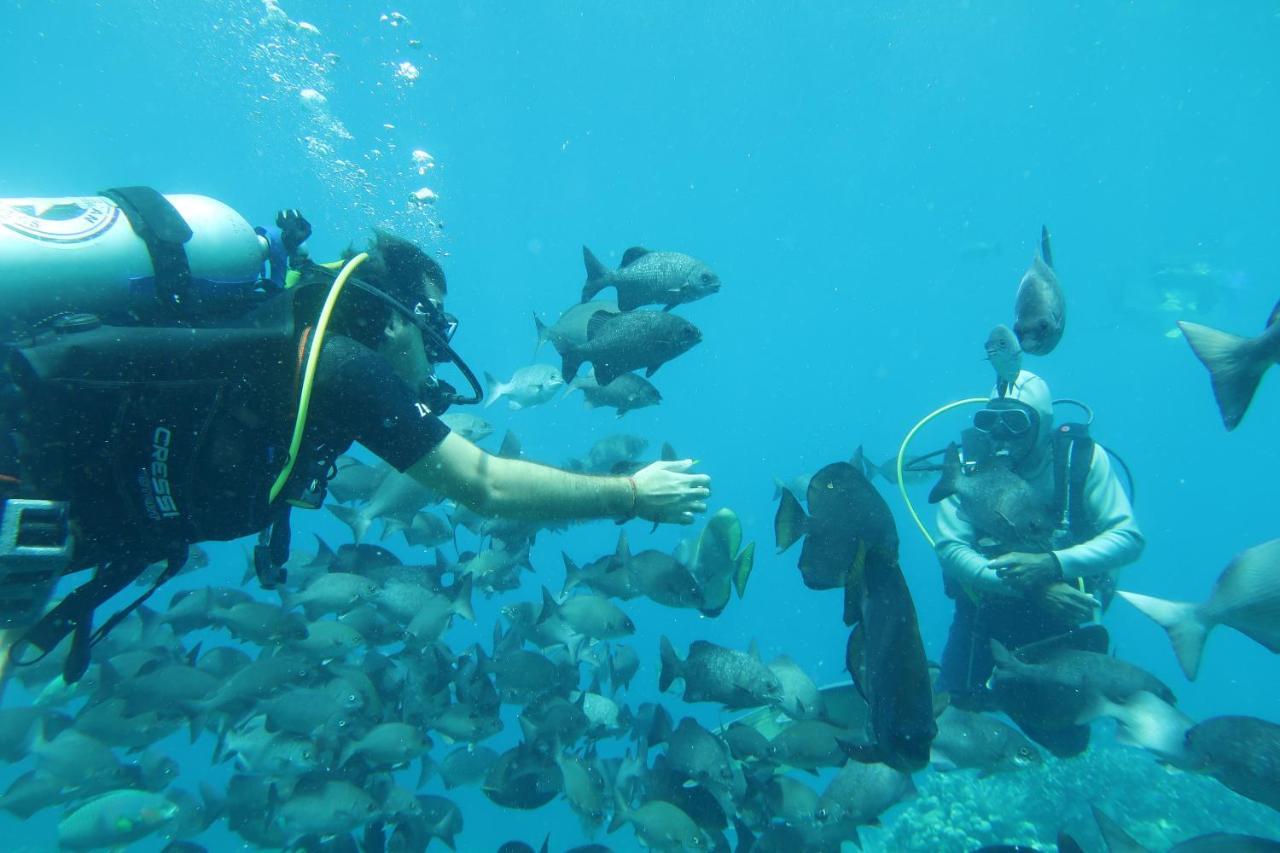 Tabari Dive Lodge Pulau Mansuar エクステリア 写真